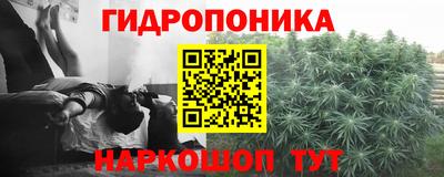 spice Комсомольск-на-Амуре