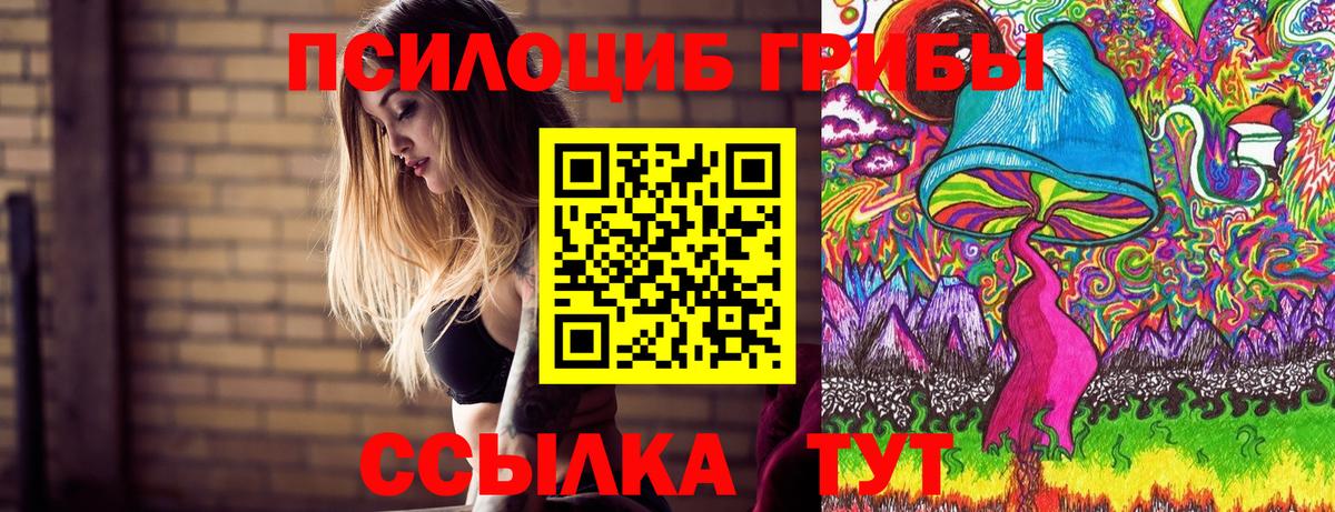 Псилоцибиновые грибы мицелий Уварово